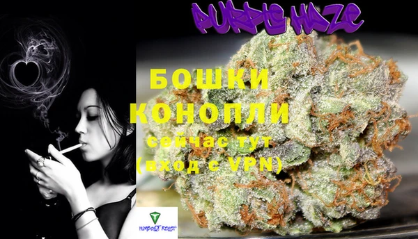 молекула духа Баксан